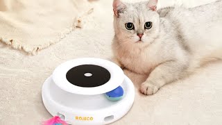 Robeco-juguetes inteligentes 2 en 1 para gato y perro, juego automático de plumas y bolas divertida
