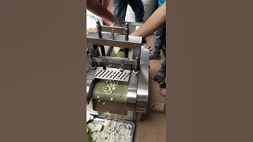 Máy thái cùi bưởi hạt lựu, máy cắt hạt lựu củ quả, máy bào sợi hạt lựu Yqc1000