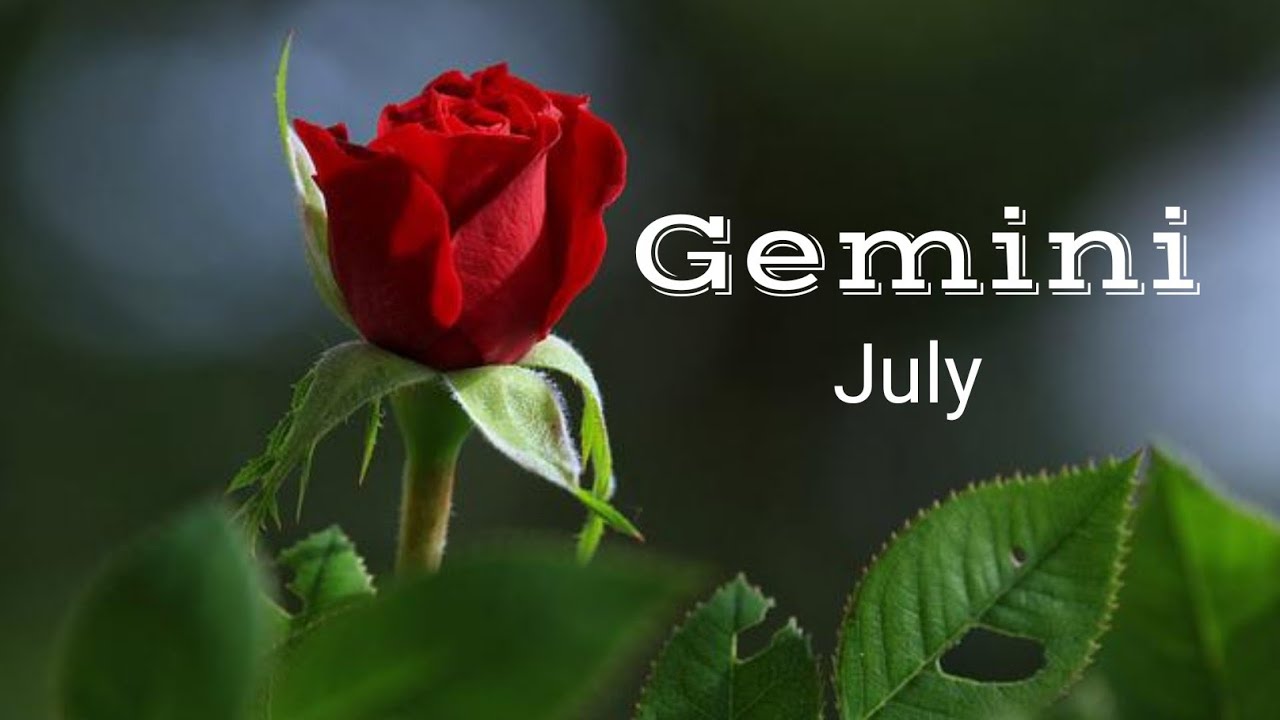♊️ GEMINI WHAT THE HELL DID WE MANIFEST 🥳