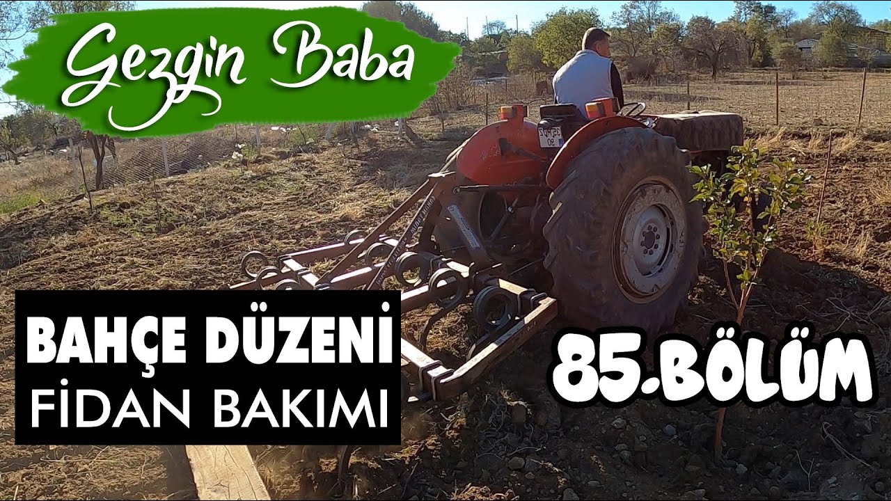 Bahçemizi Düzenliyoruz | Fidanlara Bakım ve Yeni Meyve Fidanı Dikiyoruz | Gezgin Baba | 85.Bölüm