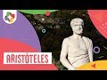 Aristóteles - Filosofía - Educatina