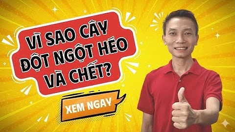 Cách Xử Lý Tuyến Trùng Rễ Gây Hại Cho Cây Trồng | Web Nhà Quê