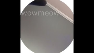 CUPSIZE – Больше не смешно (Snippet 29.09.23)