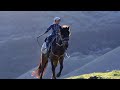 4-year-old horseman of Tianshan foothills in Xinjiang