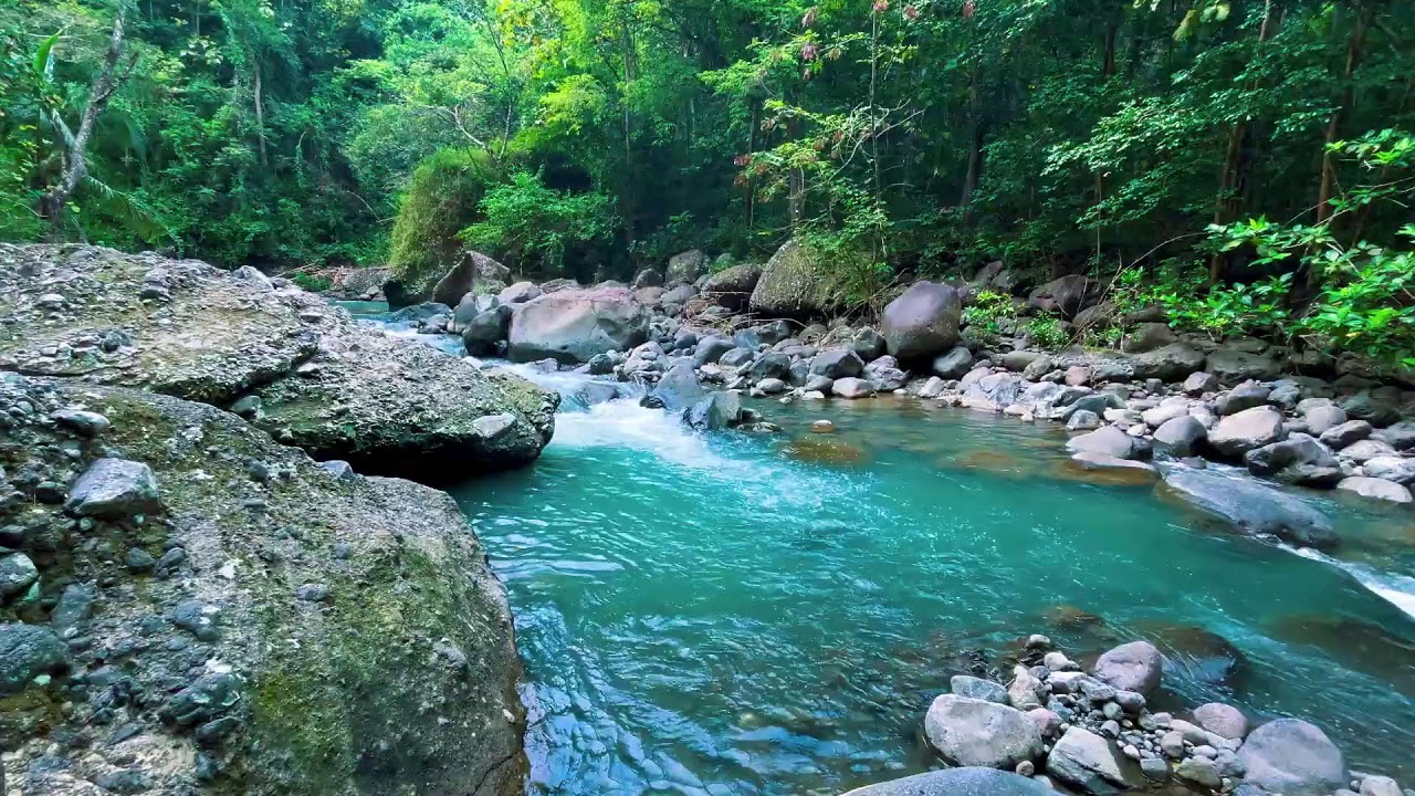 Sleep Better with Peaceful River Sounds | Relaxing Water White Noise for Insomnia & Anxiety