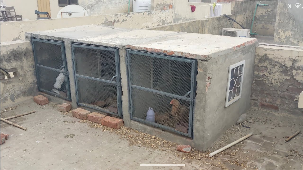 Cages for pets | Aseel Cages| Aseel Setup on rooftop | how to make cages for birds on roof