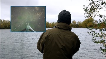 Bait checking with FishSpy - Has Dave Lane