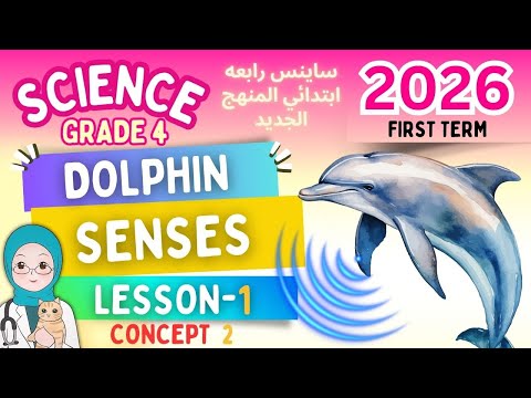 Science Grade 4 المنهج الجديد Dolphin Senses C 2 Lesson 1 2026 ساينس رابعه ابتدائى الترم الاول Science Grade 4 المنهج الجديد Dolphin Senses C 2 Lesson 1 2026 ساينس رابعه ابتدائى الترم الاول