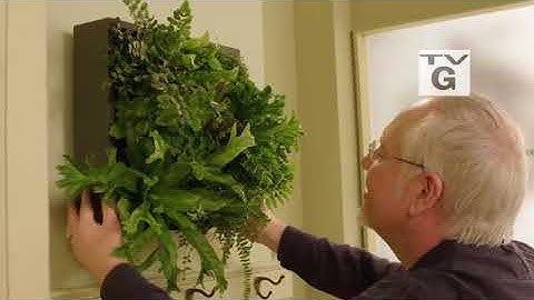 Episode 109  All Foliage- Living Green  J Schwanke