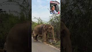 What’s inside my Sherni 🚘? Sonpapadi, imli candy… and a lot more 😄