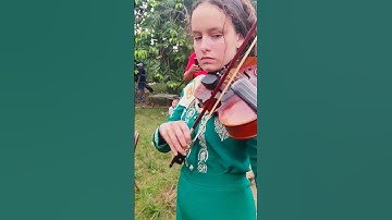 Thumbnail of Mi niña bonita - Mariachi Soberano