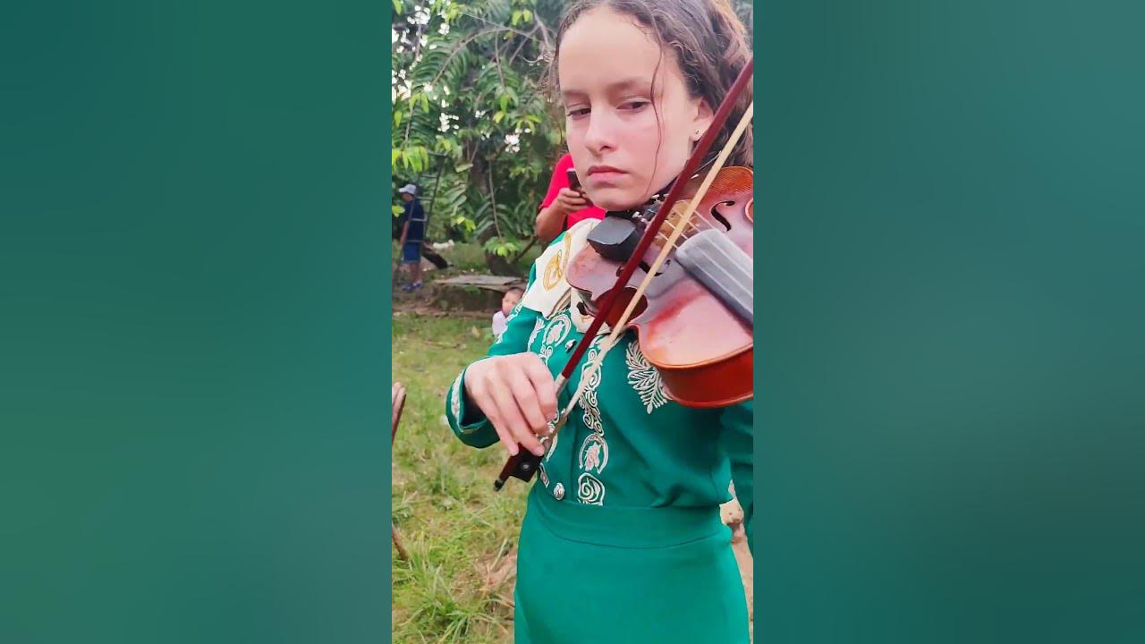 Mi niña bonita - Mariachi Soberano