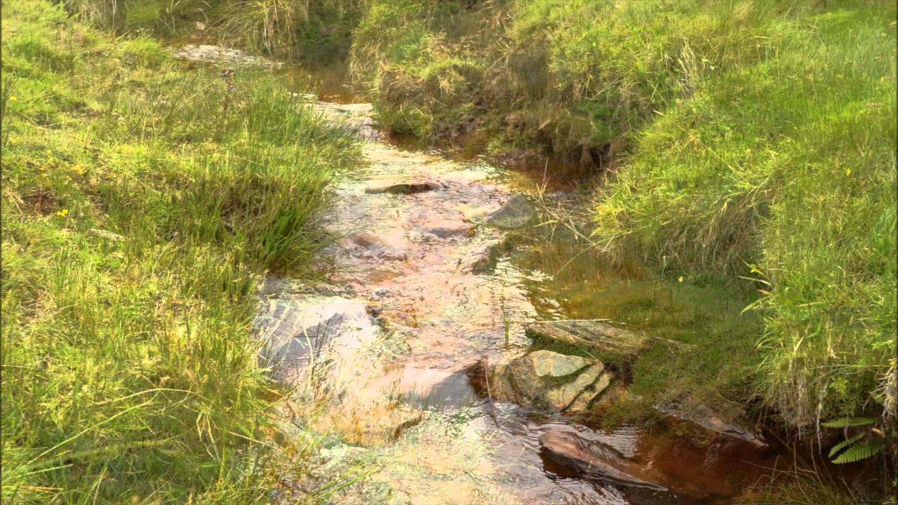 Sounds of the Exe -  Exe Head