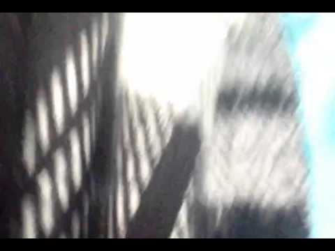 IMG 11031