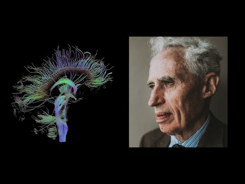 Video: People Of The Right Hemisphere - Alternative View
