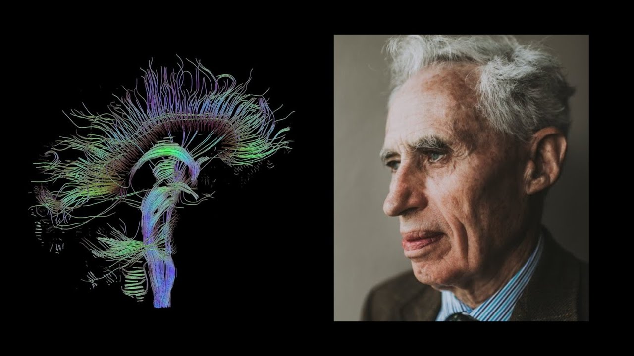 Are We Bodies or Souls? | Dr. Richard Swinburne
