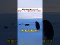 極寒の大地で命をつなぐ!? 皇帝ペンギンの壮絶な子育ての現実！ #ペンギン #皇帝ペンギン #野生動物 #南極 #動物の生態