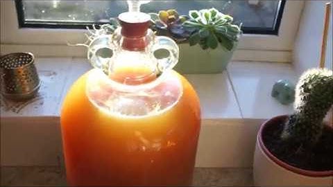 How to Make Organic (Hard) Apple Cider with a Juicer! Part 2: Secondary Ferentation