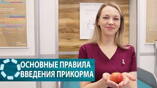 Основные правила введения прикорма