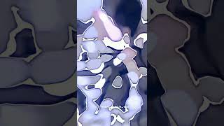 Httpswwwsexvidprogangbangedgirltakestheircumshotsonherassholehtml
