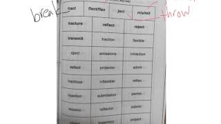 DR Sort 33