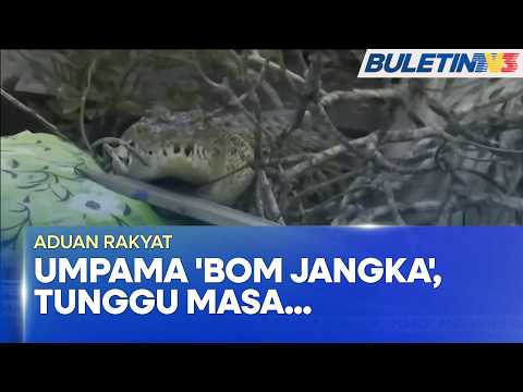 ADUAN RAKYAT | Jambatan Usang, Penduduk Pulau Tambisan Gadai Nyawa Diancam Buaya (BU)