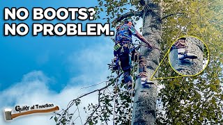No Boots? No Problem! Climbing A Tree In SOCKS!