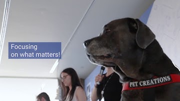 City Challenge Crowdhackathon #Smartcity2: 1500 partcipants, 112 Teams!