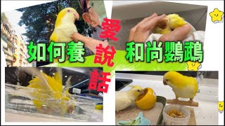 ~和尚鸚鵡任信快樂的一天~~與阿姨對話可愛極了~~~ #beautifulbirds