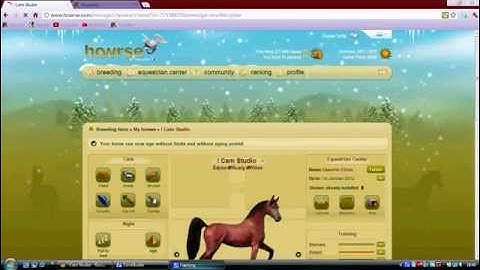 Blupping on howrse part 1: Foal Games