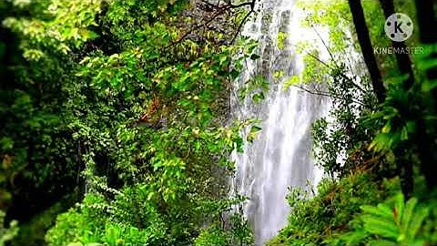 من روائع القارئ/مجاهد الحجاجي اوائل سورة الكهف