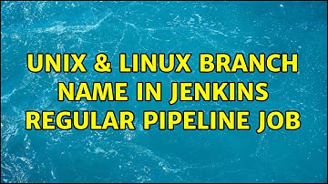 Unix & Linux: branch name in Jenkins regular pipeline job