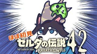 【はじめてのゼルダの伝説】＃42　コログより祠チャレンジに振り回されてない？【BotW】