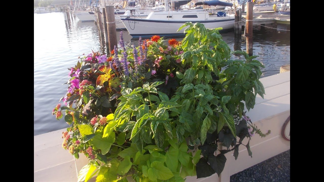 ⁣Pesto from the Sailing Emporium