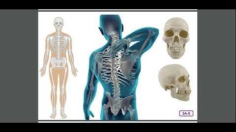 Unit 3 Lesson 3 L & L