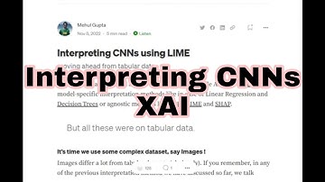 Interpreting CNNs using LIME