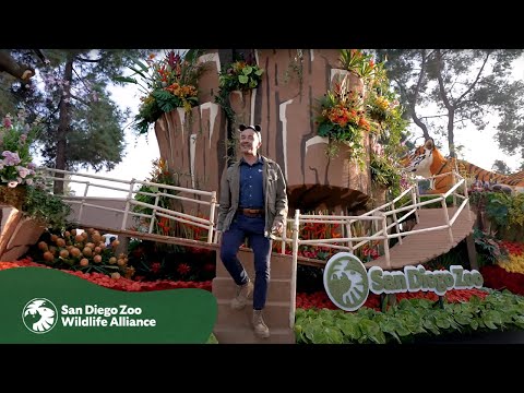 San Diego Zoo Wildlife Alliance Award-Winning Float | 2025 Rose Parade