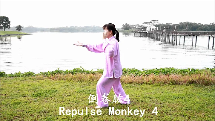 Simplified 24 taijiquan back view
