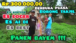 Keluarga Super Panen Bayem   Hasilnya Untuk Pesta Berbuka Puasa  