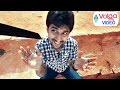 Nani hialarious comedy scenes  back 2 back nani scenes  2016 latest movies  volgas