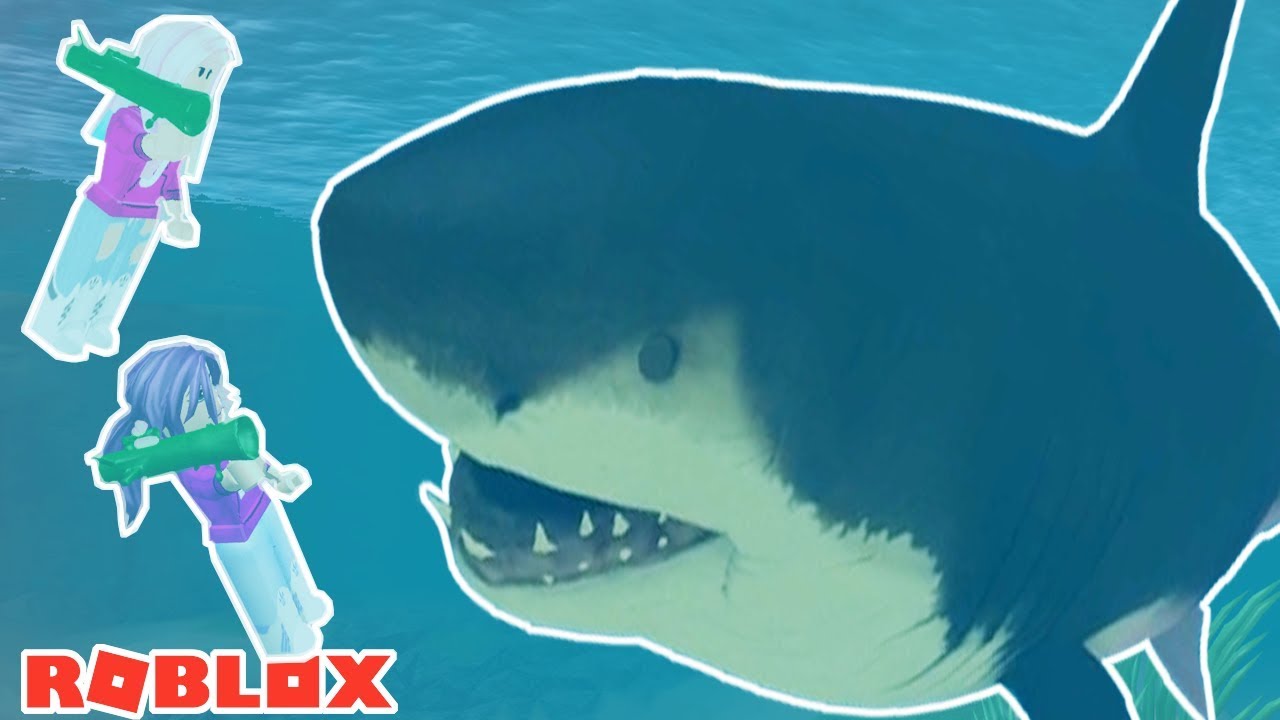 Attacked By A Giant Megalodon Shark Roblox Shark Attack Youtube - roblox shark bite megalodon found thereset