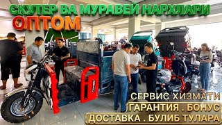 МУРАВЕЙ ВА СКУТЕР НАРХЛАРИ ОПТОМ | SKUTER VA MURAVEY NARXLARI OPTOM | GLOBAL MOTO SALON 