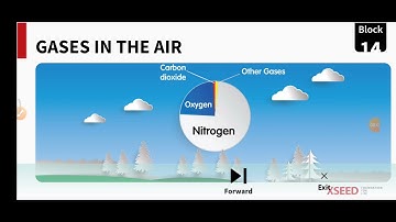 CLASS 2  BLOCK 14.1  GASES IN THE AIR   ENVIRONMENTAL SCIENCE