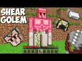 What if you SHEAR A IRON GOLEM in Minecraft ? IRON GOLEM ITEMS !