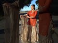 beautiful sharara with gharara suit #fshot