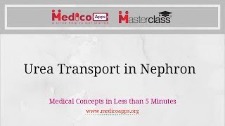 Urea Transport in Nephron [NEET PG / DNB / AIIMSPG ]