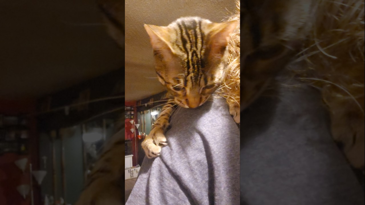 Ракета скучала по мне?! 😆💢 