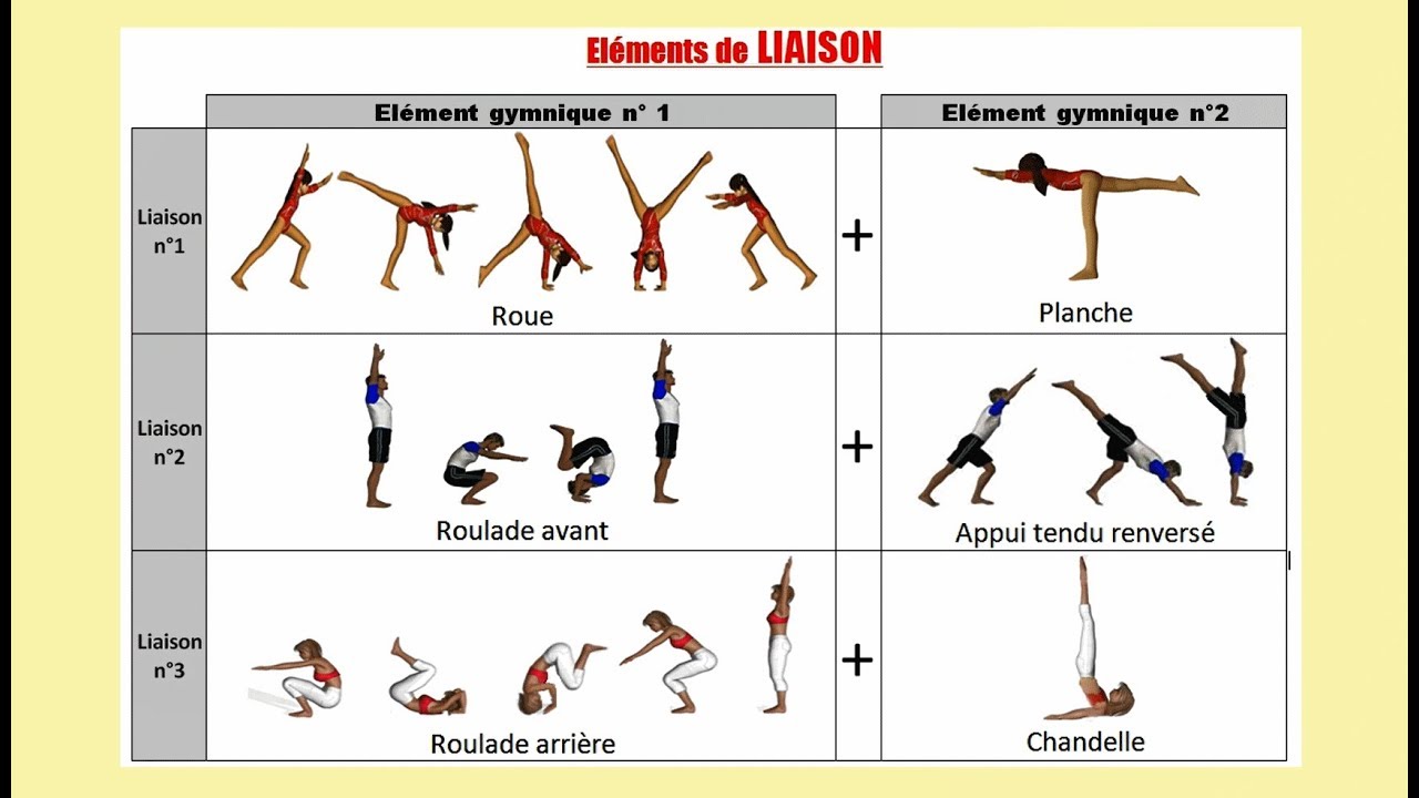 Gymnastique: Les éléments de liaison Gymnastique: Les éléments de liaison