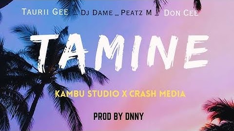 Taurii Gee - Tamine (Ft. DJ Dame, Peatz M & Don Cee)