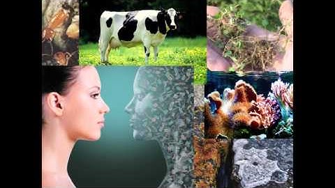 Lecture: The Evolving Human Microbiome